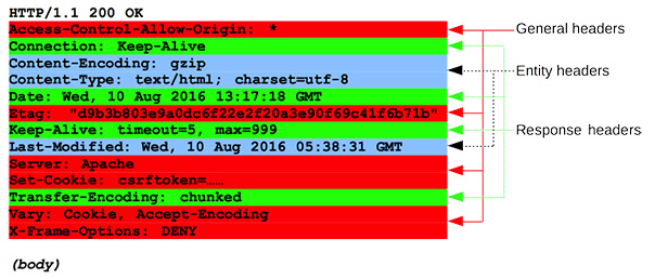 HTTP Response Header