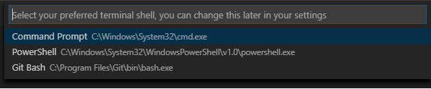 VS Code Prompt - Shell Options